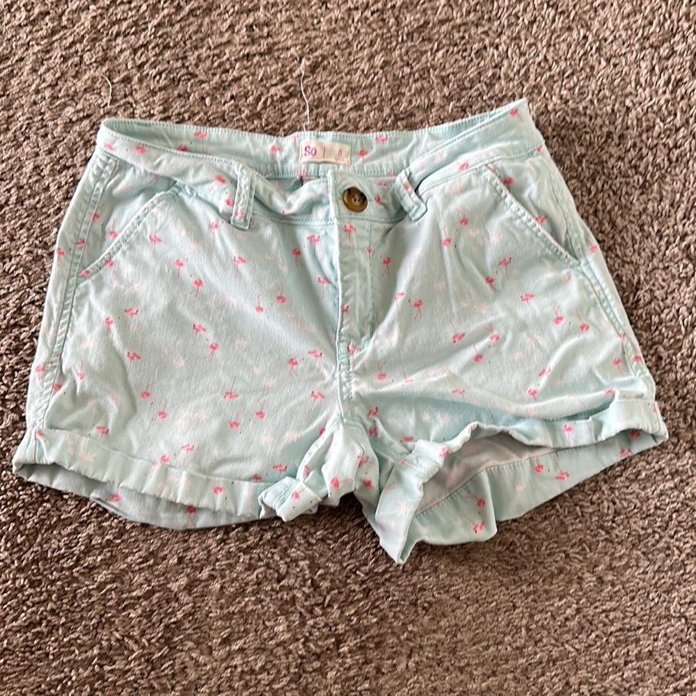 Mint flamingo shorts
